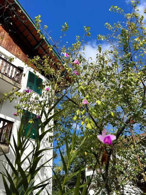 Refugio Na Serra Condominio Em Olaria, Nova Friburgo-Rj Exterior photo